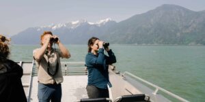 Viewing area on our state of the art tour boats | Homalco Wildlife & Cultural Tours | Campbell River